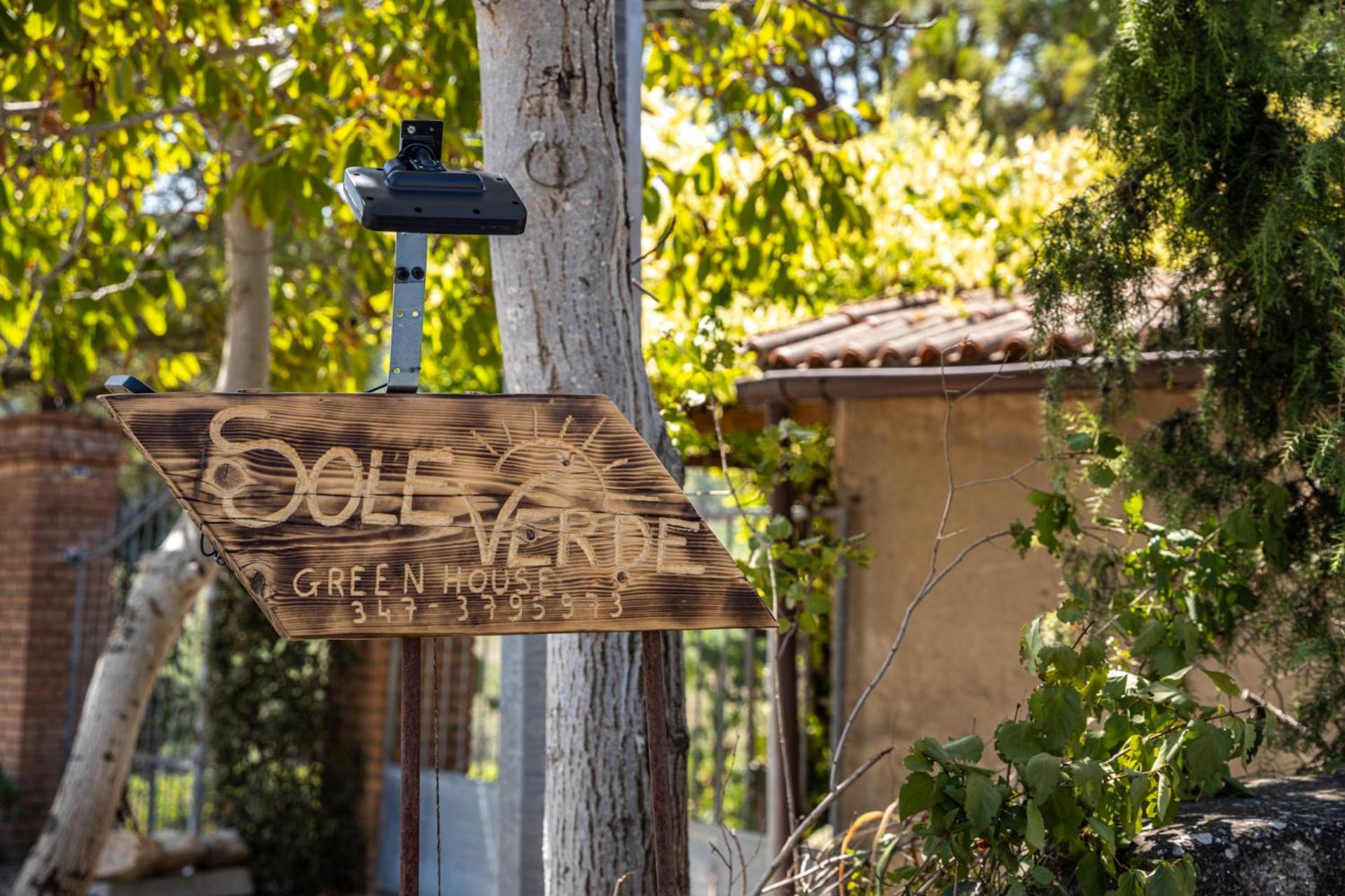 Sole Verde Green House Terricciola Exterior photo